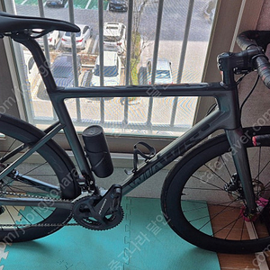 위아위스 래디컬