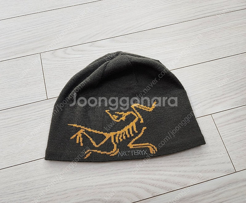 아크테릭스 비니--0