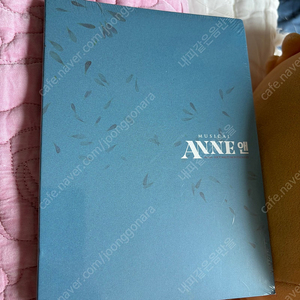 뮤지컬 앤 ANNE DVD 판매