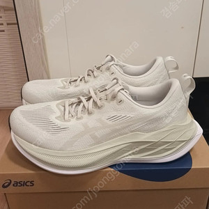 아식스 슈퍼블라스트2 레이크그레이 275