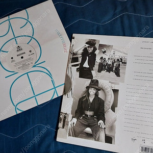 수입 POP - DIVA LP 2장 일괄