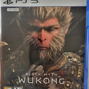 플스5 오공(ps5)
