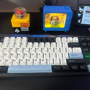 펀키스 독거미 F108 경해축 키보드