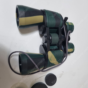 쌍안경