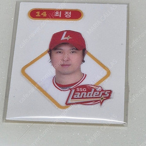 크보빵 SSG 최정 띠부씰