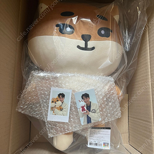 데이식스 자이언트 데니멀즈 케(영케이)