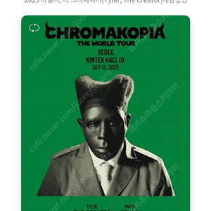 타일러 더 크리에이터 Tyler the creator 내한공연 막콘 맨 앞자리 원가양도 펜스가능