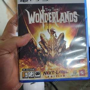 ps5 타이니 티나의 원더랜드 넥스트레벨 에디션 급처