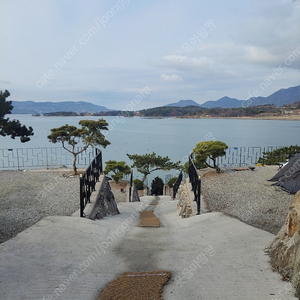 쿠디파밀리아 삽니다~