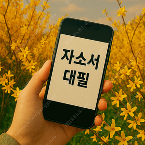 자소서 대필·자기소개서 대행 첨삭 24시간 OK! 합리적인 금액에 믿고 맡기세요