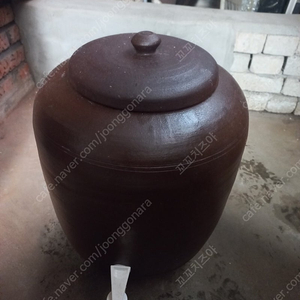 게르마늄 정수디