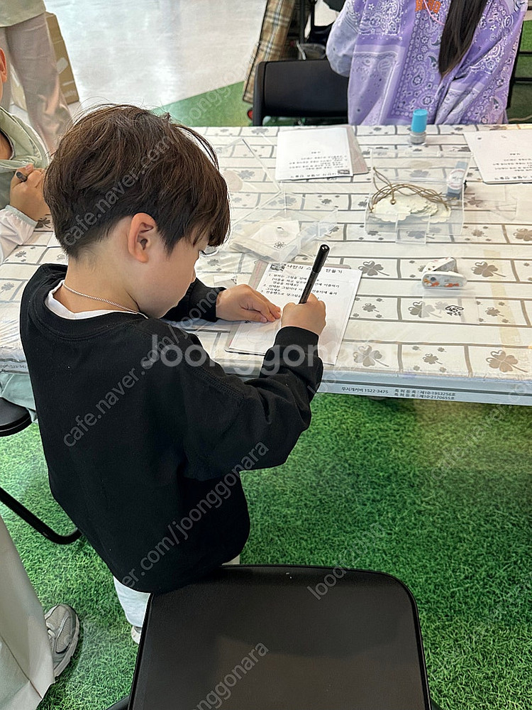 베르니 로지 프릴니트--0