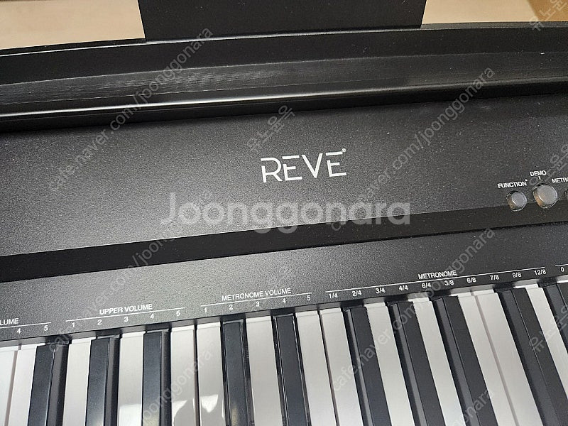 reve RP10 전자피아노 88건반--3