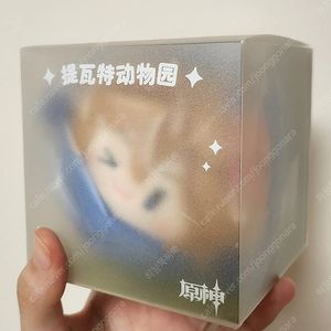 원신 타르탈리아, 알베도 공식굿즈