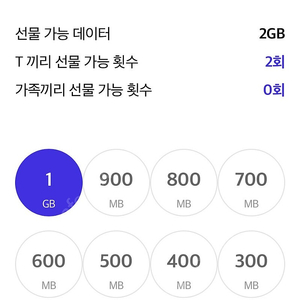 SK T끼리 데이터 2GB 판매합니다.​