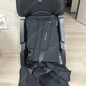 다이치이지캐리카시트