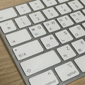 Apple 매직키보드 with Touch ID and Numeric 키보드 White A2520 팝니다