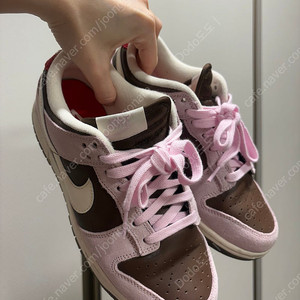 나이키 덩크로우 카카오 와우 앤 핑크 폼 250