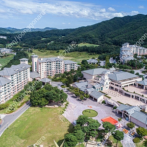(5/2,3,4,5 연휴) 확정양도 (오크밸리/모나용평/비체팰리스/무주덕유산)