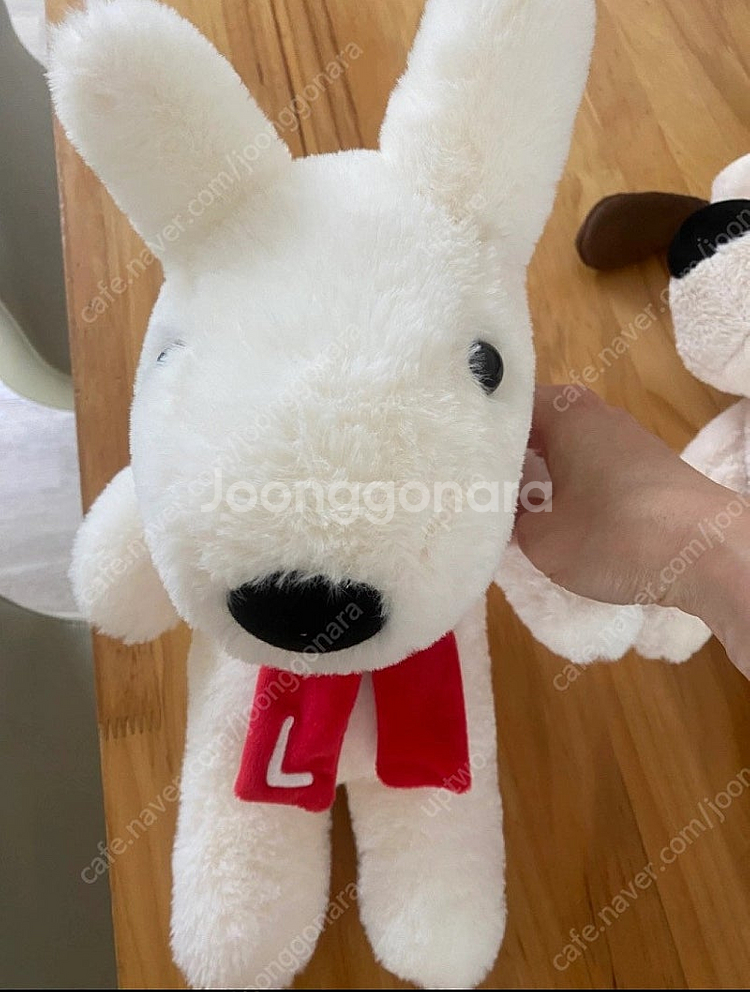 헬로키티 도트원피스,모후샌드 고양이 상어코스튬,도라에몽,가스파드,그로밋중형--3