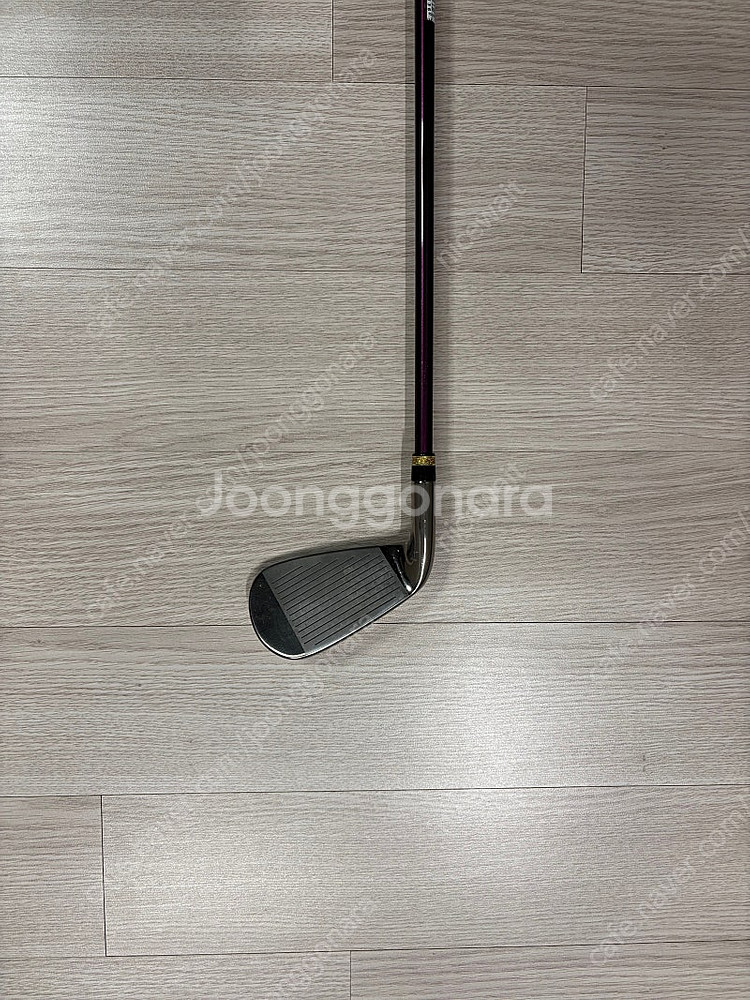 혼마 7번 아이언 판매 (여성용 L)--1