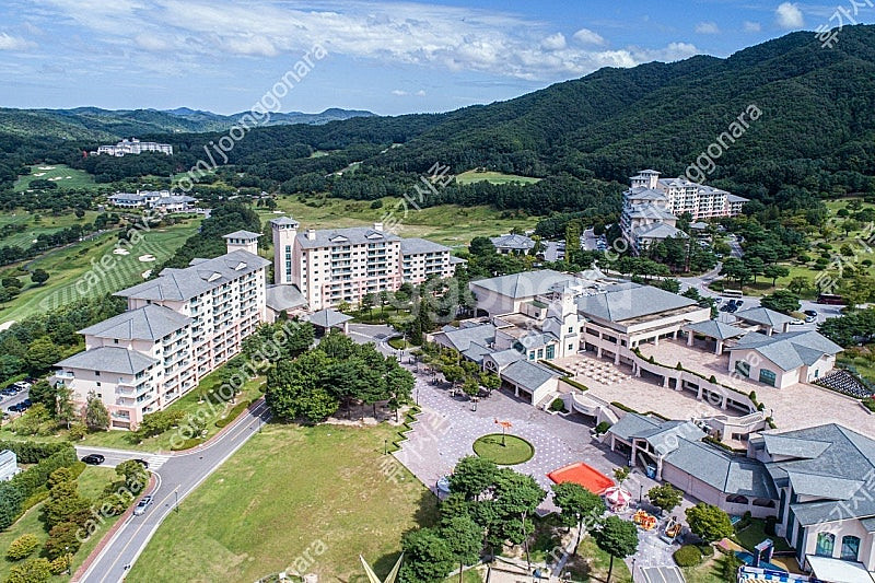 (5/2,3,4,5 연휴) 확정양도 (오크밸리/모나용평...--0