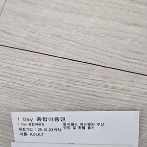 부산 롯데월드 종일권 2매 (49,000원)