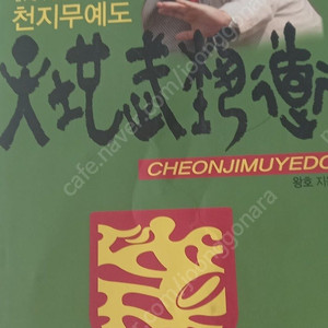 천지 무예도 -왕호지음 (택포)