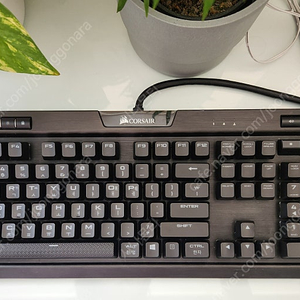 커세어 k70 mk2 rgb 스피드실버축 은축