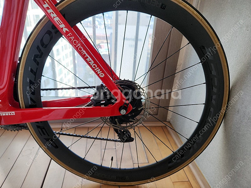 본트래거 에올루스 프로5(51mm)--3