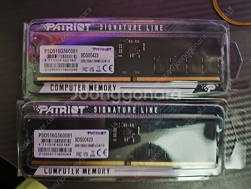 ddr5 패트리어트 시그니처 5600 16GB 2개팝니...--0