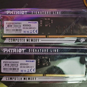 ddr5 패트리어트 시그니처 5600 16GB 2개팝니다