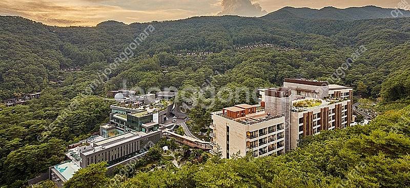 (5월연휴) 5/3,4,5일 리솜제천 / 롯데김해 가실...--0