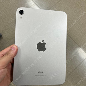 아이패드 미니6 64gb wifi 스타라이트