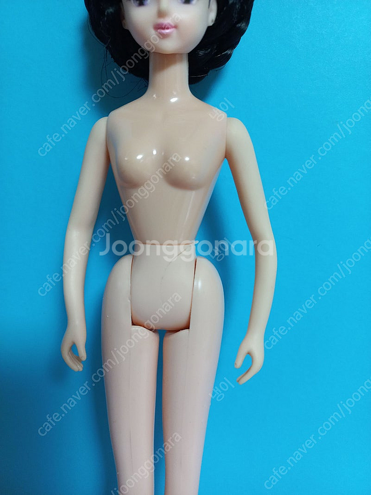 리카캐슬 마리 쥬디, 다카라 리카, 고전 손오공 대장금...--8