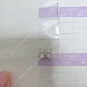 골든듀 펄시피아파베 쁘띠 화골 새상품