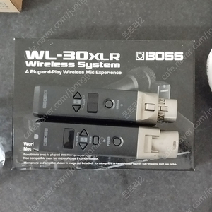 BOSS WL-30XLR