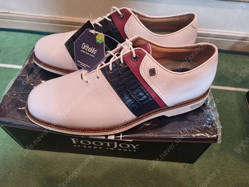 FJ 풋조이 프리미어 골프화 아쿠쉬네트코리아 275W--2