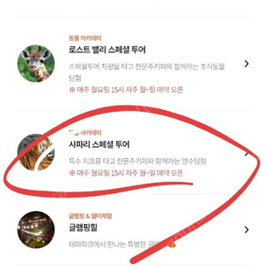 에버랜드 사파리스페셜투어 5월3일 토요일 구합니다