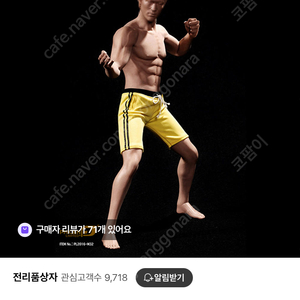 피첸 이소룡 피규어