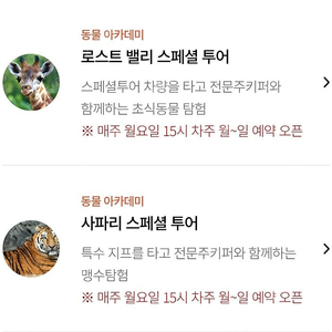 에버랜드 사파리 스페셜투어 4/23일거 구해요
