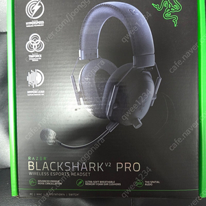 레이저 블랙샤크 v2 pro