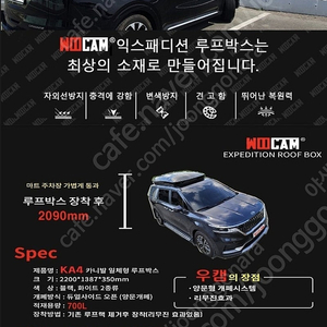 카니발 일체형 루프박스