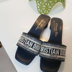 디올 오블리크 뮬