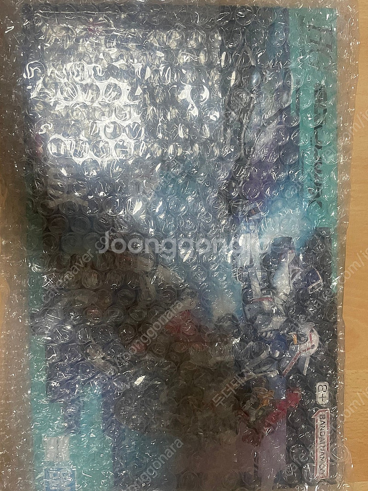 HG 지쿠악스--0