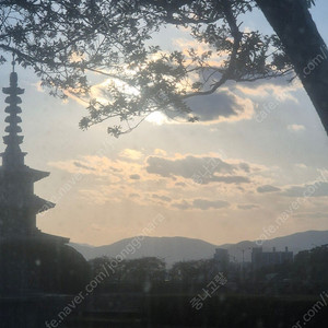 소니 Dsc - w55 구해봐요