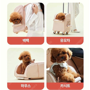강아지 고양이 이동가방 아르르 고잉백 m사이즈 (연핑크)