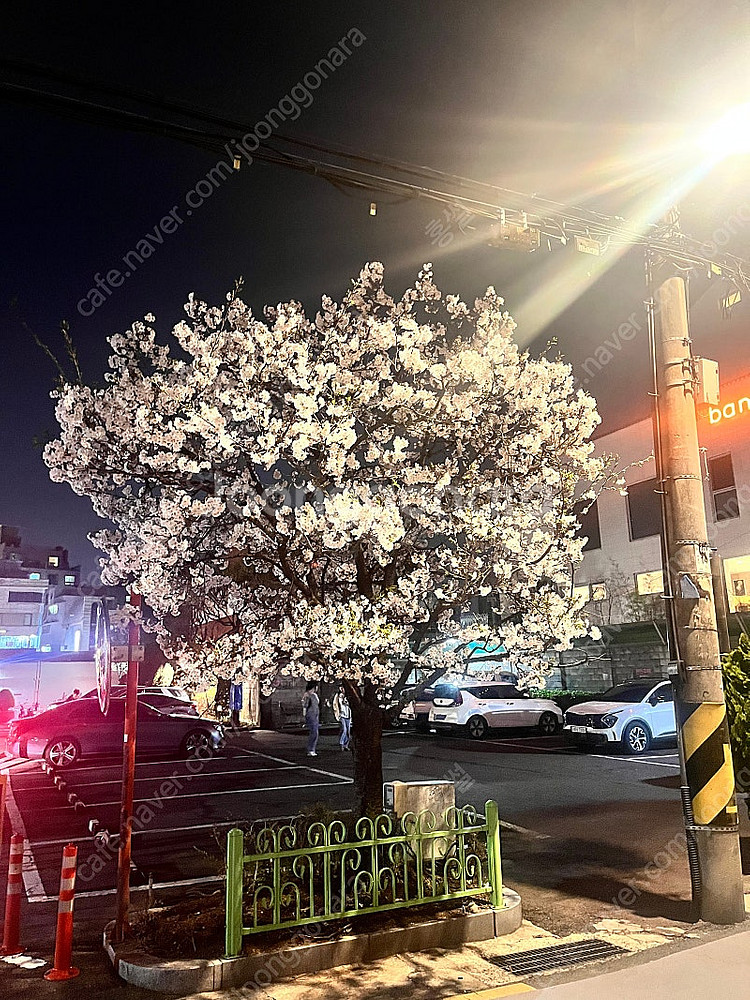 연희동 사러가마트 인근 월주차 구합니다--0
