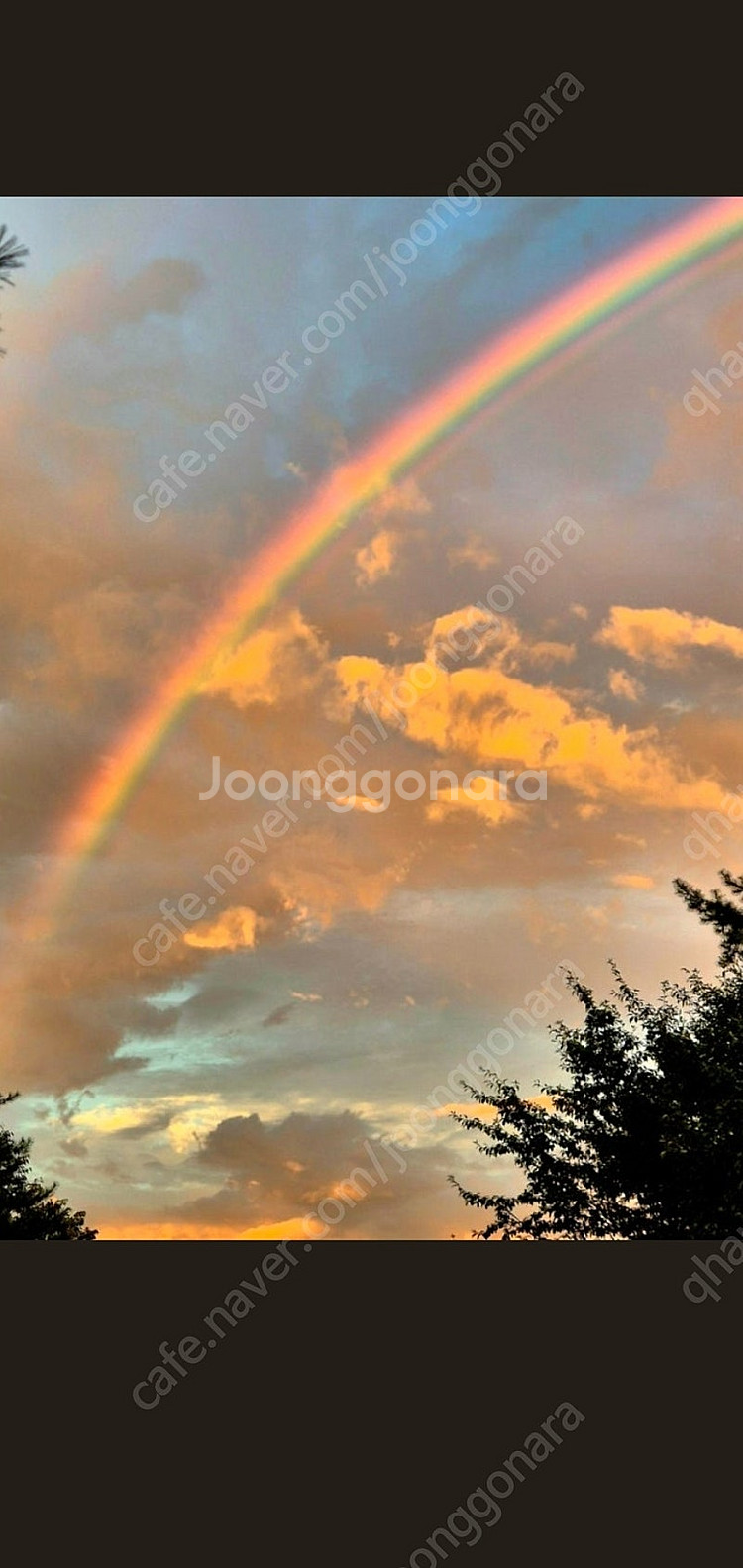 겔럭시탭s7플러스나s9플러스구입합니다.--0