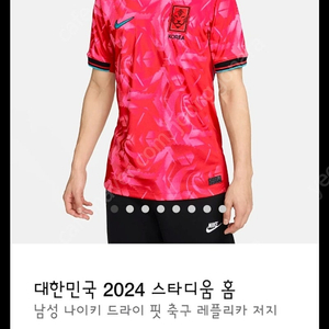 뜯지않은택채새상품)북중미월드컵 a매치 대한민국 국가대표 홈 축구 유니폼 드라이핏 티셔츠